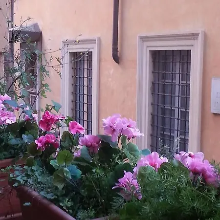 Cuore Di Con Terrazza Privata A Piazza Venezia * Roma